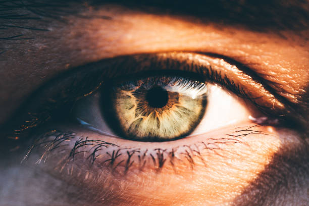 Nilianza Mwaka Mpya Nikihisi Watu Wananionea Macho Mabaya Njia ya Kujikinga Niliyojifunza