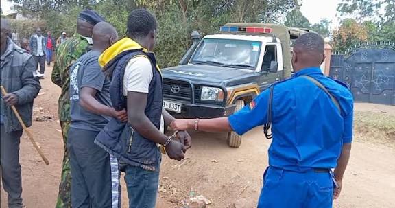 KIOJA! Mwizi wa Ng’ombe Ageuka Kuwa Ng’ombe Mwenyewe, Aanza Kuugua ‘Mooo!’ Hadharani