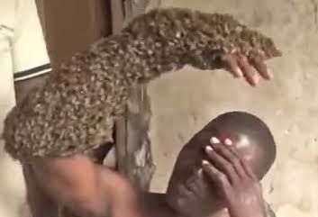 Nyuki Walivamia Dada Yake Mchana—Kila Mtu Akishuhudia Ndipo Wakajulikana Kuwa Walikuwa Wezi