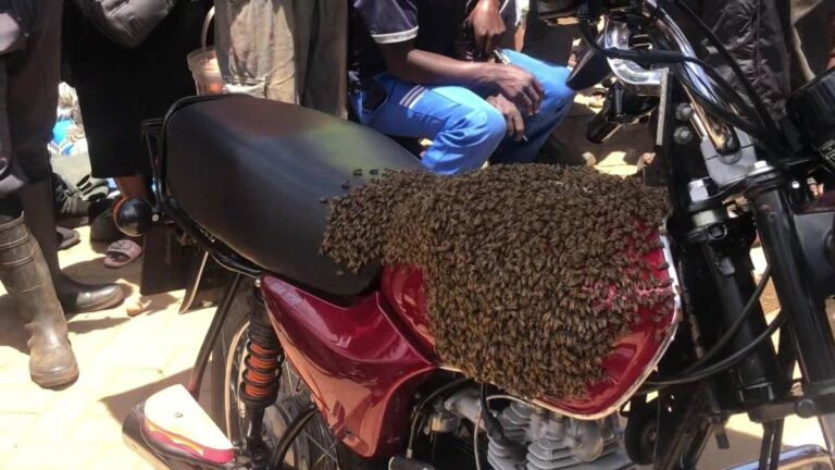 Nilivyofanikiwa Kupata Pikipiki Yangu Iliyoibwa Baada ya Wiki Moja ya Kutafuta Bila Matokeo