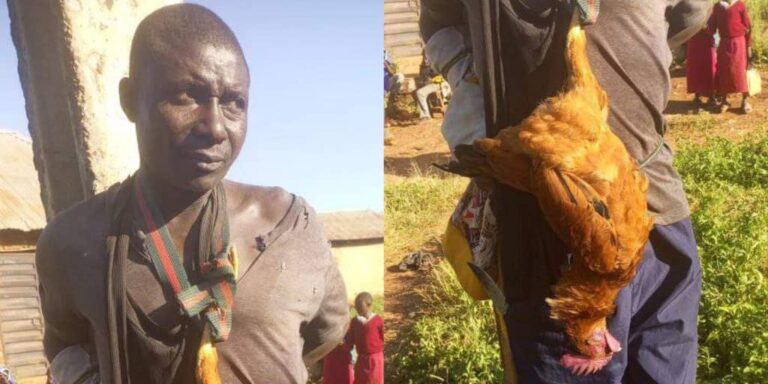 Nilivyowakamata Wezi Walioiba Kuku Wangu Mara Tatu Baada ya Kijiji Chote Kushindwa Kujua Wanaingia Wapi Usiku
