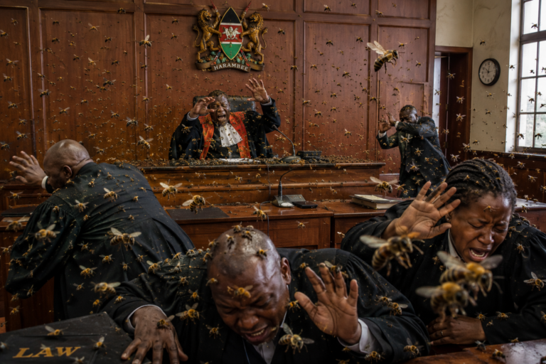 Karatina, Nyeri: Tukio la Nyuki Lawaibua Maswali na Wito wa Utulivu