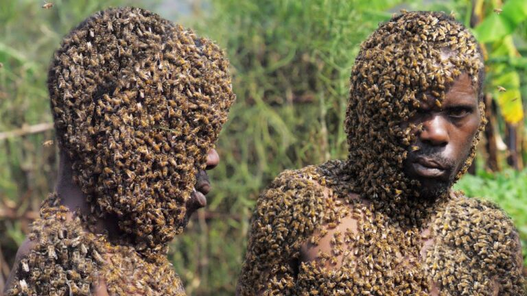 Nilivyomnasa Mwizi Aliyekuwa Akiiba Kwenye Shamba Langu Kwa Wiki Nyingi Mpaka Akakimbizwa na Nyuki na Kukiri Makosa