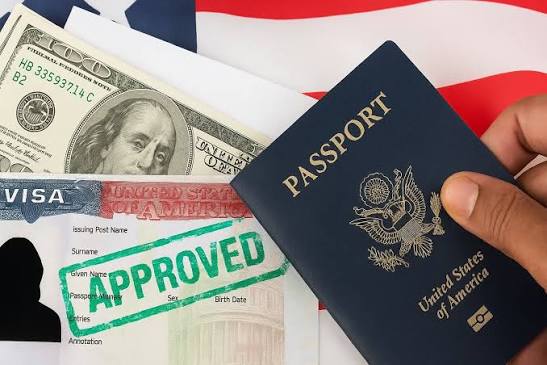 Nilikosa Visa Mara Tatu, Lakini Hatua Niliyogundua Ilinipatia Kibali Cha Safari Ndani ya Siku Moja