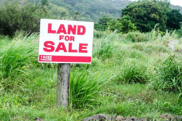 Nilivyopata Mnunuzi wa Ardhi Yangu Baada ya Karibu Miaka Mitatu ya Kutangaza Bila Mafanikio