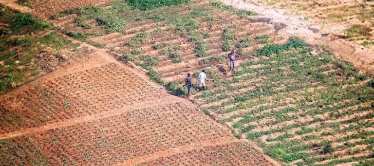 Ndugu Zangu Walitaka Kunitapeli na Kuninyang’anya Kiwanja Changu cha Urithi, Mpaka Visomo Hivi Viliporudisha Ardhi Yangu Mikononi Mwangu